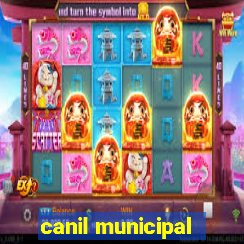 canil municipal